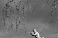 claude_g monument aux morts orangerie thouars